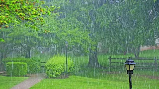 24 HOURS of GENTLE NIGHT RAIN, Rain Sounds to Sleep, Study, Relax, Reduce Stress, help insomnia