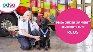 Fire Investigation Dog Reqs is awarded the PDSA Order of Merit