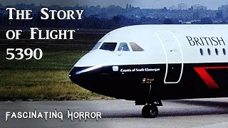 The Story of Flight 5390 | A Short Documentary | Fascinating Horror