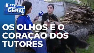 Cães guia dão segurança e agilidade para deficientes visuais e melhoram a qualidade de vida