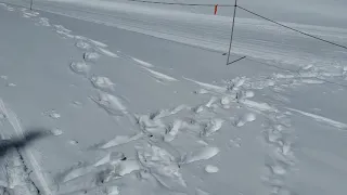 Old Monarch Pass/ UN11,855, Colorado. Winter Day Hike.