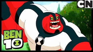 Ben Finds the Bug Brothers! | Heads of the Family Ben 10 | Cartoon Network