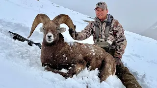 Bighorn Sheep Hunt