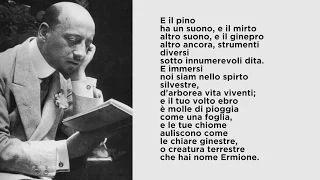 "La pioggia nel pineto" di Gabriele D'Annunzio, letta da Paolo Rossini