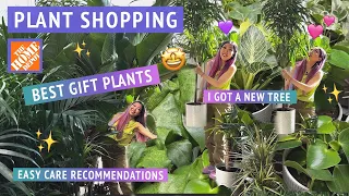 EASY CARE HOUSEPLANT SHOPPING at Home Depot 💝🌿 Best plants to buy as gifts