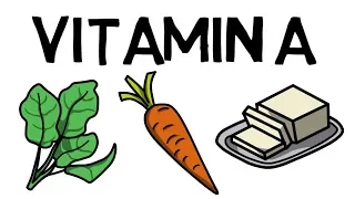 Lebensmittel mit viel Vitamin A – Vitamin A Mangel vermeiden!