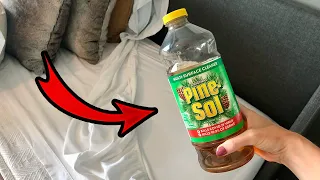 SECRET 🤫 Pour $1 pine sol on your BED... SEE WHAT HAPPENS to your MATTRESS! (it's a miracle)