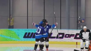 5 hole in NHL 22