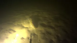 Подводная охота в мутном водохранилище