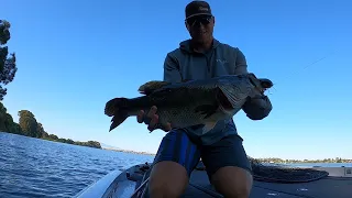 How I Target Big Bass on the California Delta With Big WakeBaits