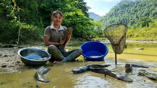Harvest a huge fish pond and bring it to the market to sell _cooking with dogs | Chuc Thi Duong