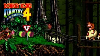 Donkey Kong Country 4: West Swamp Trail Forest