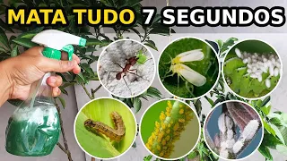 Mata Lagarta, Formiga, Pulgão, Cochonilha, Ácaro, Mosca Branca, Larva Minadora | Não Gasta 1 Centavo