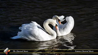 Tchaikovsky: Swan Lake (1 hour NO ADS) - Full Ballet | Most Famous Classical Pieces & AI Art | 432hz