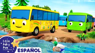 Diez Autobuses 2 - Canciones Infantiles | Little Baby Bum Latino