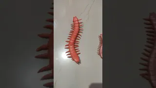 centipede kids toys
