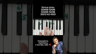 Белые розы Юрий Шатунов на пианино (синтезаторе)🎹 Обучение