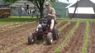 Wheel Horse 502 Cultivating