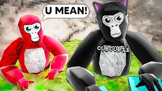 I Used HACKS To Win In MINIGAMES Lobbys… | Gorilla Tag