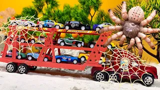 Spider Attack The Trucks | Toy Car Story