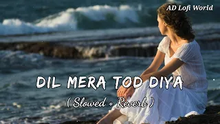 Dil Mera Tod Diya 💔 - Lofi ( Slowed And Reverb ) | Alka Yagnik | Kasoor | Sad Lofi Song