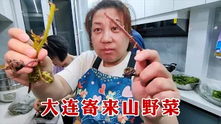 【160斤大龄女】哥嫂从大连寄一箱山野菜，老蕨菜猴腿黄瓜香，都是东北老家的特产