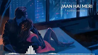 Jaan Hai Meri - Radhe Shyam Prabhas,Pooja Hegde - Armaan M,Amaal M,Rashmi V,Bhushan -Viral