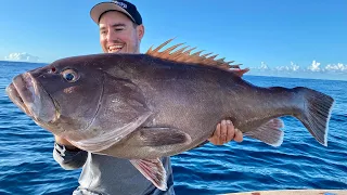 What a beast!! Deep sea fishing Catch & Clean