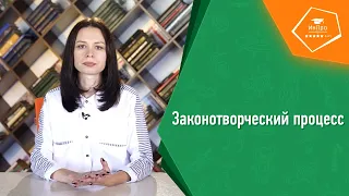 Законотворческий процесс в РФ | Урок обществознания с репетитором «ИнПро»