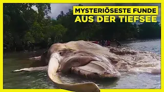 Die 5 mysteriösesten Funde aus der Tiefsee