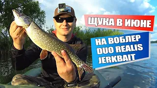 Жадная щука чуть не оторвала воблер DUO realis jerkbait