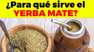 YERBA MATE, ¿para qué sirven? beneficios del yerba mate para tu salud