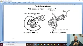 Anatomy GIT Module in Arabic 33  ( Pancreas , part 1  ) ,  by Dr, Wahdan