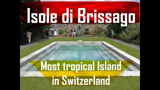 ➡️ Isole di Brissago, most tropical Island in Switzerland.