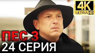 Сериал ПЕС 3 сезон - 24 серия - Все серии подряд в 4К - Смотреть онлайн в хорошем качестве