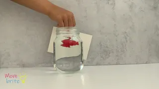 Refraction Reversing Arrow Activity