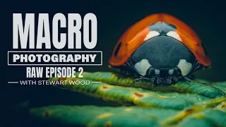 Macro Photography RAW - Episode 2 Womere Pool