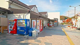 Japan - Backstreets, cats and the ocean of Miyako city・4K HDR