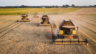 Wyścigi na Polu! Wielkie Żniwa na 5 Kombajnów! 🇵🇱 UR BLEJK & UR Uściński (Big Harvest in Poland)