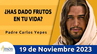 Evangelio De Hoy Domingo 19 Noviembre  2023 l Padre Carlos Yepes l Biblia l Mateo 25,1-13 l Católica