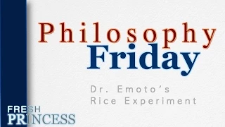 Philosophy Friday: Dr  Emoto's Rice Experiment  |  Fresh P