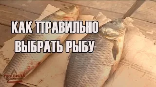 Как правильно выбрать рыбу | Правила выживания | Выпуск 6