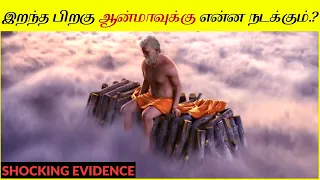 நாம் இறந்த பிறகு நம் ஆன்மா எங்கே போகிறது? Is Afterlife True.? What Happens To Soul After Death?