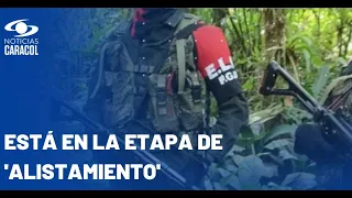 ¿Qué alcance tiene el decreto del cese al fuego bilateral entre Gobierno nacional y ELN?