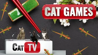 CAT Games | Larry the Lizard Explores Japan! 🦎🇯🇵  | Lizard Videos For Cats to Watch 😼 | Cat TV