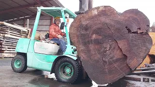 #40【製材】3トンの巨木！！！椨（タブ）:前編　3 tons of giant tree!! machilus thunbergii  :first part