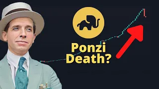 Elephant Money 🤔 How to win in Ponzis...