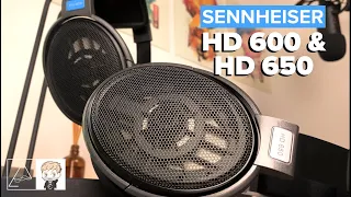 Sennheiser HD650 and HD600 Review - Revisiting Classic Headphones in 2020