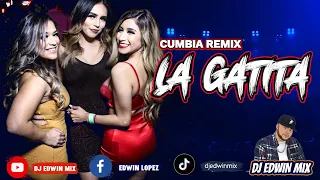 GATITA CUMBIA REMIX DjCiso Cdmx - Topic ft. DJ EDWIN MIX 2022