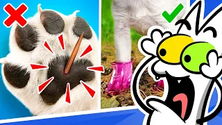 GENIUS HACKS FOR SMART PET OWNERS | Pet Reacts: LOL Edition!-